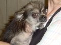 Bruiser D. before